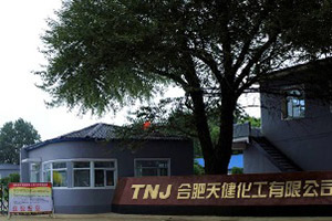 Our Company