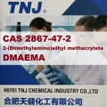 2-(Dimethylamino)ethyl methacrylate DMAEMA  CAS 2867-47-2