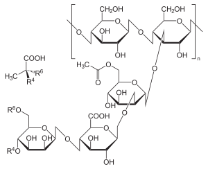 Xantan gum CAS 11138-66-2