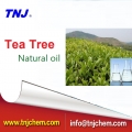 Tea tree oil CAS 68647-73-4